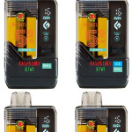 RASPBERRY KIWI  20000 PUFFS  VAPE NICOTINE SALT WITH ICE OR WITHOUT ICE   15 ML NO:59