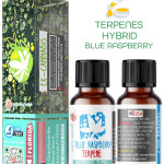 BLUE RASPBERRY HYBRID NATURAL TERPENES ( READY FOR MIXING ) 5ML - 10 ML - 15ML