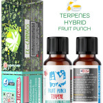 FRUIT PUNCH HYBRID NATURAL TERPENES ( READY FOR MIXING ) 5ML - 10 ML - 15ML
