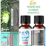 PINEAPPLE HYBRID NATURAL TERPENES ( READY FOR MIXING ) 5ML - 10 ML - 15ML