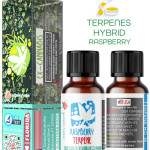 RASPBERRY HYBRID NATURAL TERPENES ( READY FOR MIXING ) 5ML - 10 ML - 15ML