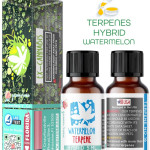 WATERMELON HYBRID NATURAL TERPENES ( READY FOR MIXING ) 5ML - 10 ML - 15ML