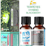 BLACKBERRY HYBRID NATURAL TERPENES ( READY FOR MIXING ) 5ML - 10 ML - 15ML